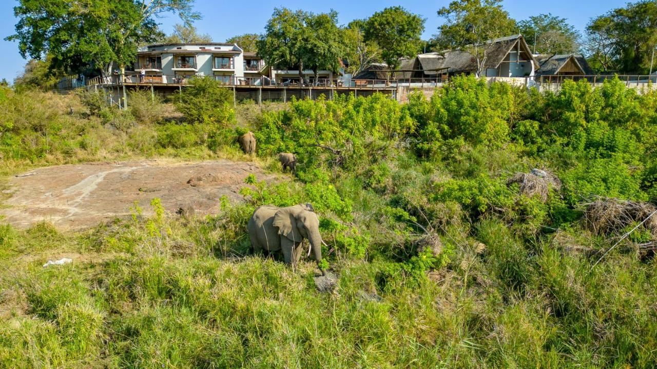 Buckler'S Africa Lodge Kruger Park كوماتيبورت المظهر الخارجي الصورة