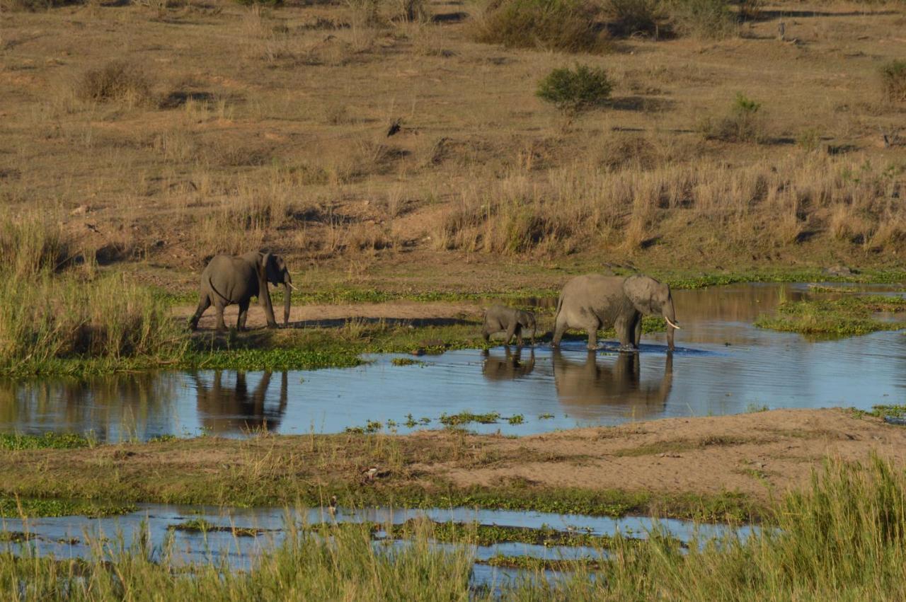Buckler'S Africa Lodge Kruger Park كوماتيبورت المظهر الخارجي الصورة